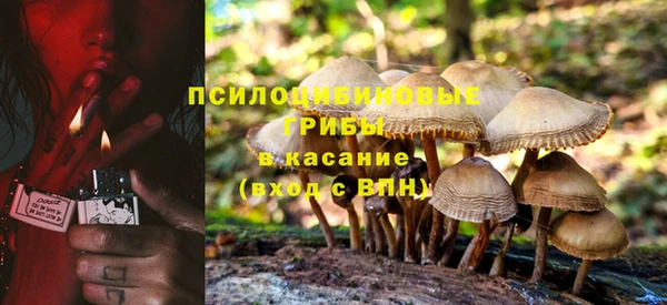экстази Абаза