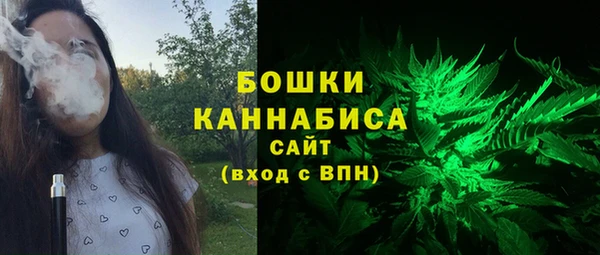 спиды Пересвет