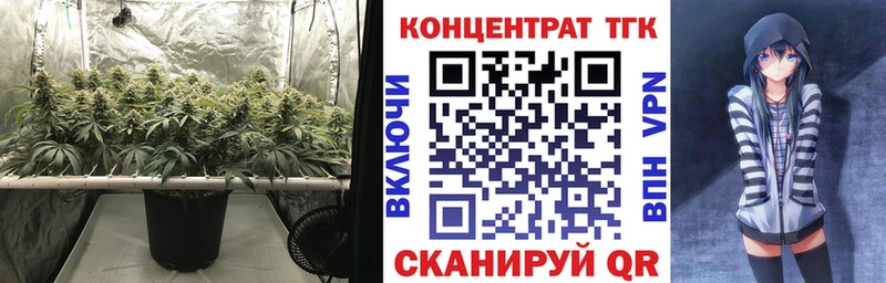 наркота  Кашира  ТГК концентрат 