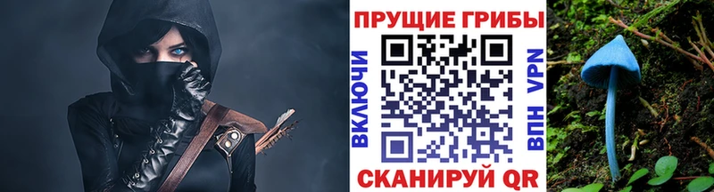 продажа наркотиков  Кашира  Галлюциногенные грибы Magic Shrooms 
